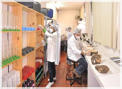 [laboratrio]